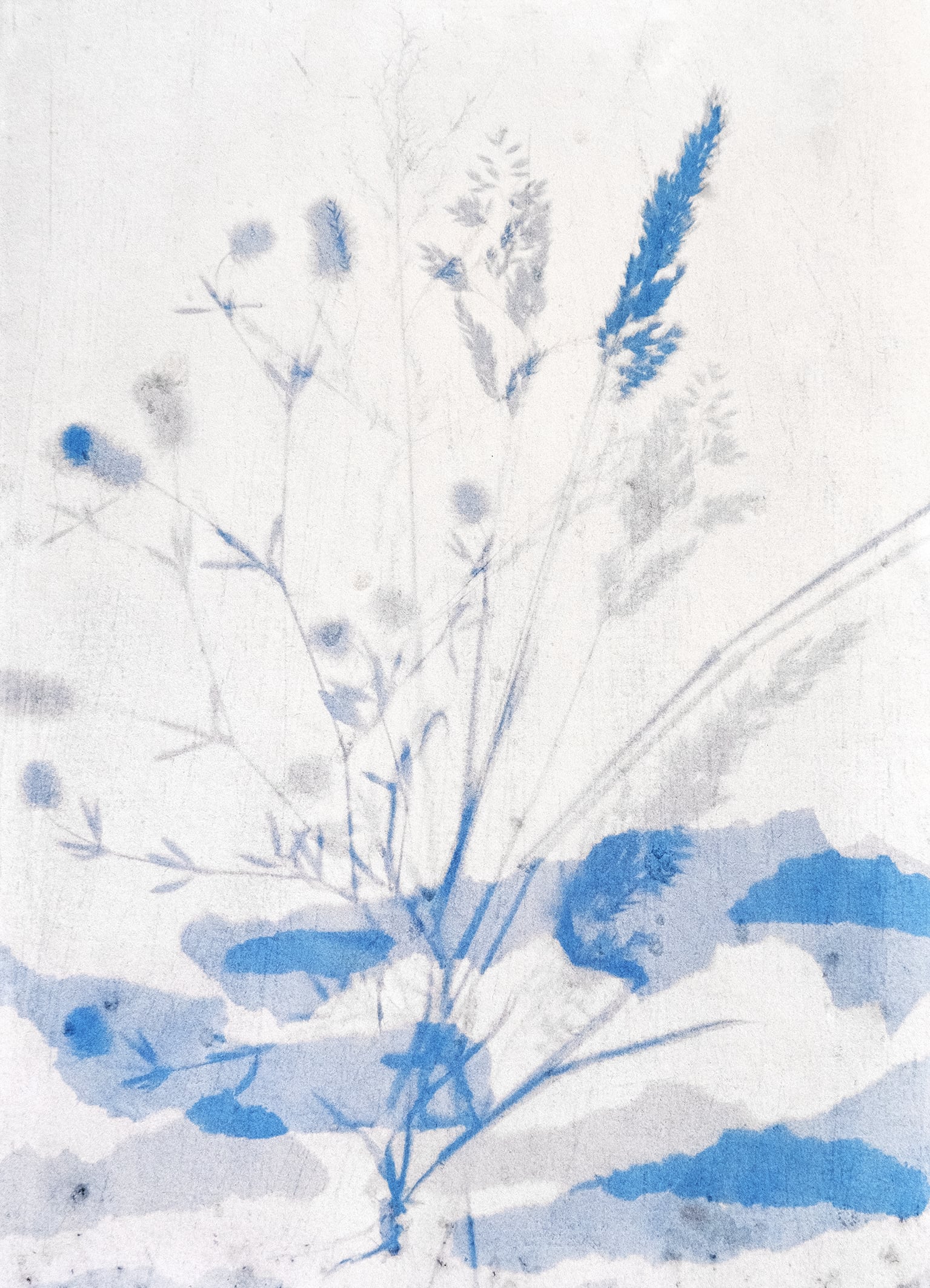 Judith IJland