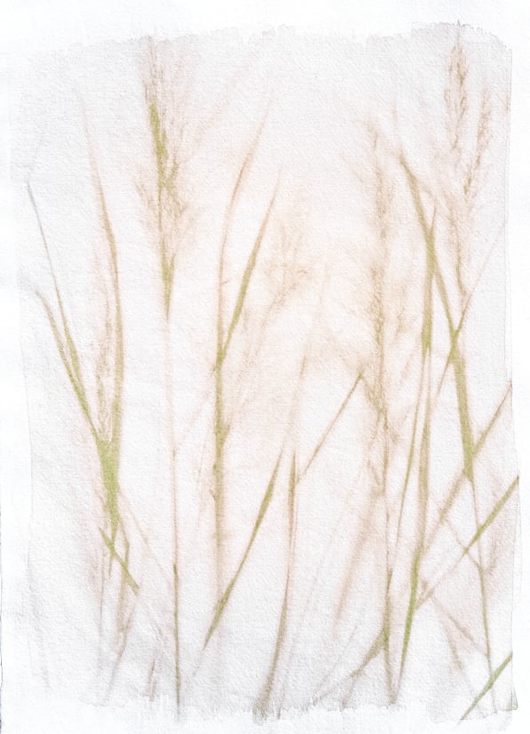 Judith IJland