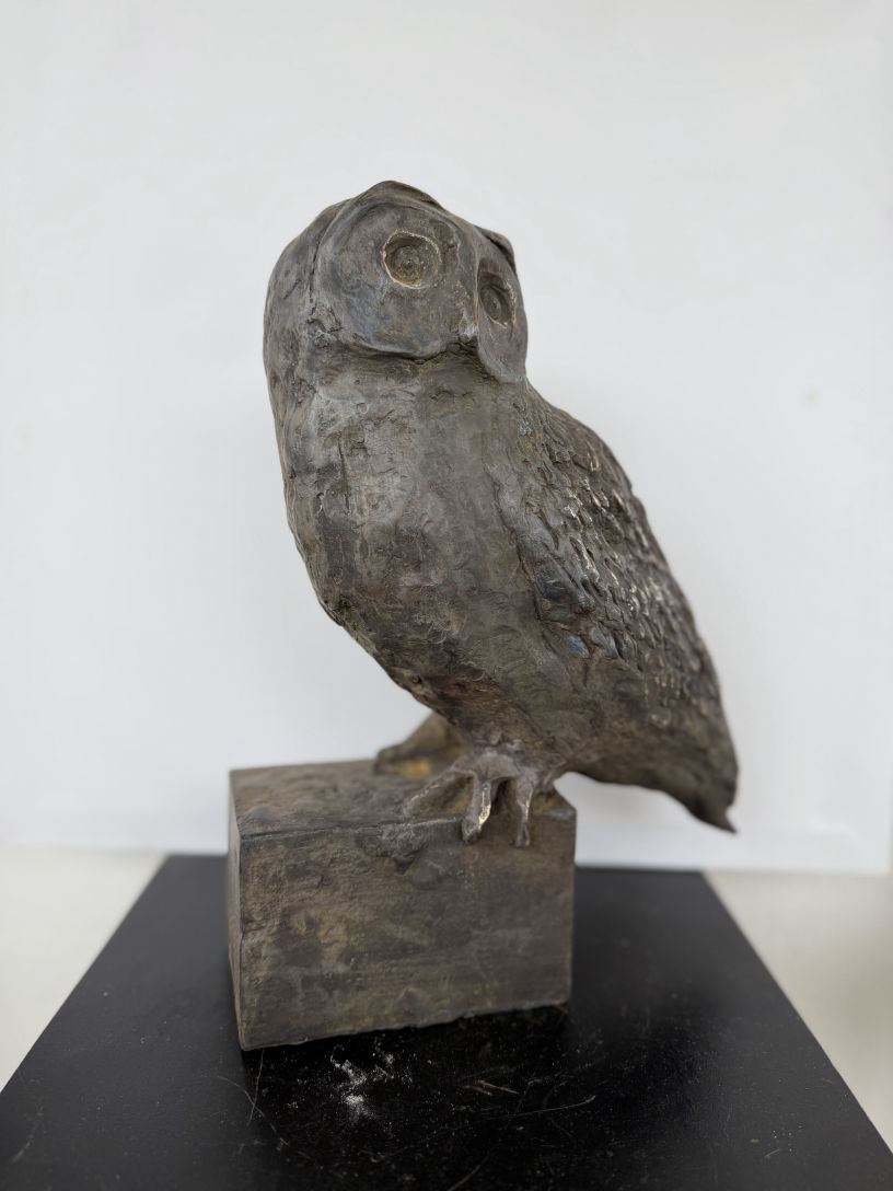 Frederike Terhaar sive Droste
